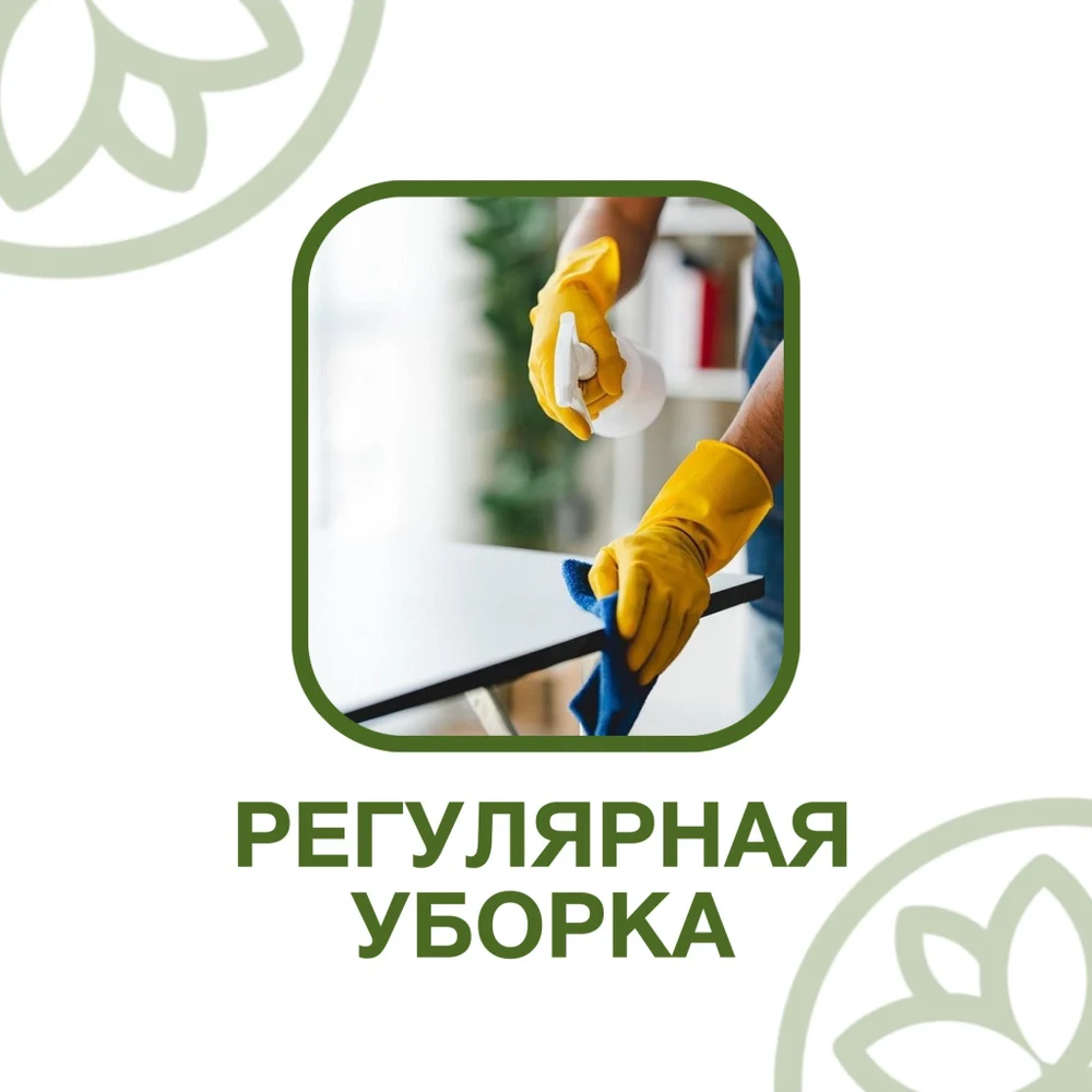 Профессиональный клининг
БЕЛАЯ ЛИЛИЯ
(WHITE LILY)